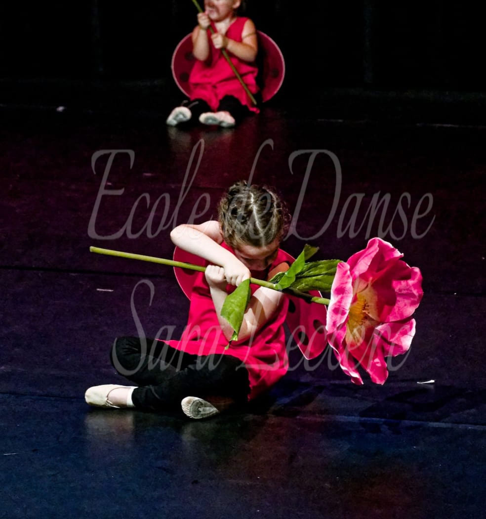 2026_9_image12.jpg