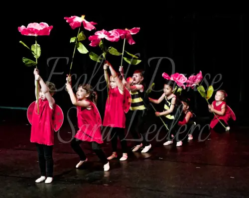 2026_9_image14.jpg